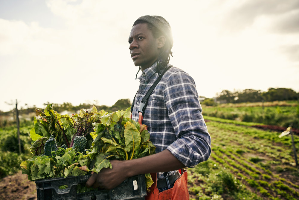 Coltivazione e lavoro agricolo
